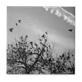 Vliegpad Tegeltje (Voorkant)