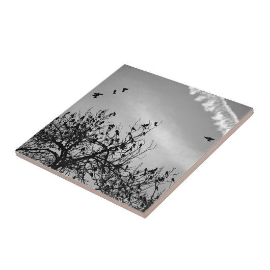 Vliegpad Tegeltje (Zijkant)