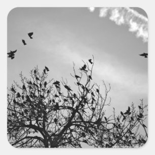 Vliegpad Vierkante Sticker