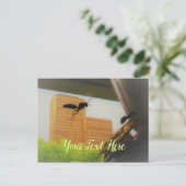 Vliegpapierwasser en zwarte tapijtantenne briefkaart (Staand voorkant)