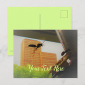 Vliegpapierwasser en zwarte tapijtantenne briefkaart (Voorkant / Achterkant)