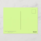 Vliegpapierwasser en zwarte tapijtantenne briefkaart (Achterkant)