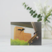 Vliegpapierwasser en zwarte tapijtantenne feestdagenkaart (Staand voorkant)