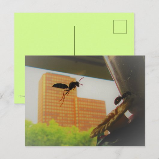 Vliegpapierwasser en zwarte tapijtantenne feestdagenkaart (Voorkant / Achterkant)