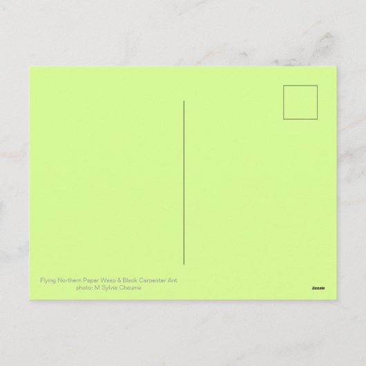 Vliegpapierwasser en zwarte tapijtantenne feestdagenkaart (Achterkant)