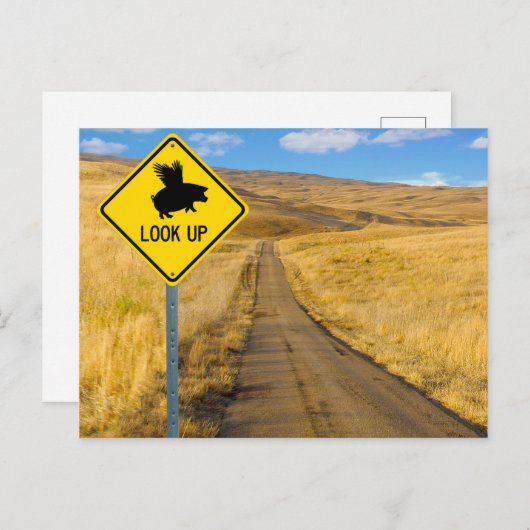 Vliegpigteken Briefkaart (Voorkant / Achterkant)