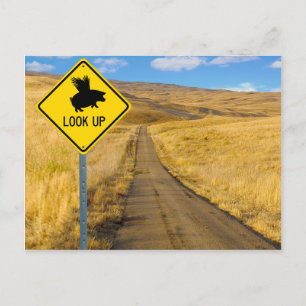 Vliegpigteken Briefkaart