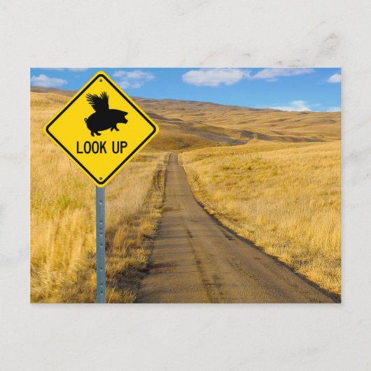 Vliegpigteken Briefkaart (Voorkant)