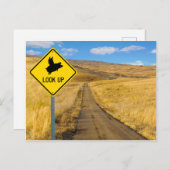 Vliegpigteken Briefkaart (Voorkant / Achterkant)