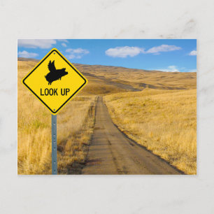 Vliegpigteken Briefkaart