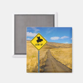 Vliegpigteken Magneet (Voorkant / Achterkant)