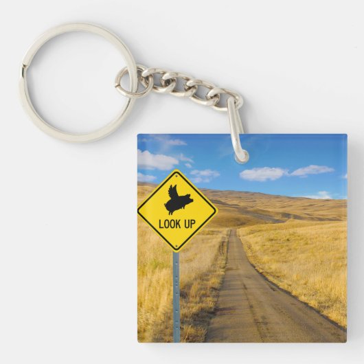Vliegpigteken Sleutelhanger (voorkant)