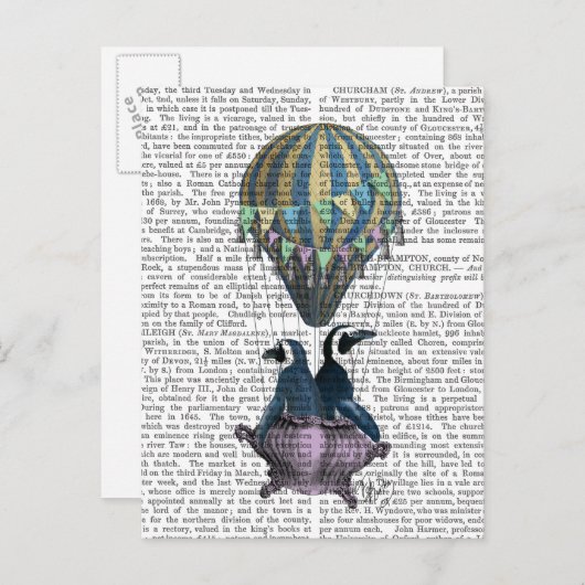 Vliegpinguïns Briefkaart (Voorkant / Achterkant)