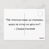 Vliegschildpad Briefkaart (Achterkant)