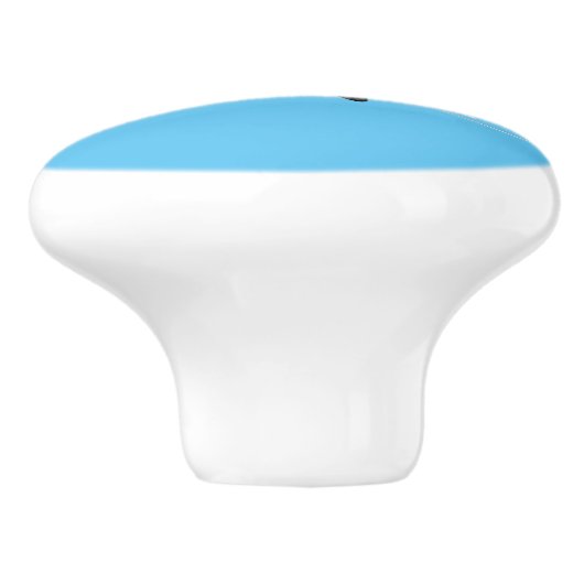 Vliegschildpad Keramische Knop (Zijkant)