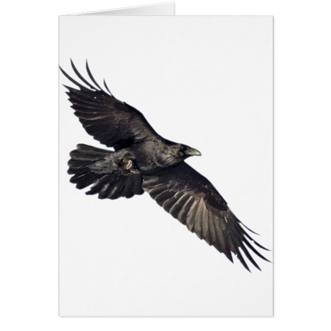 Vliegtuig (Voorkant)