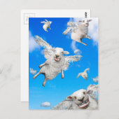 VLIEGTUIG 2 BRIEFKAART (Voorkant / Achterkant)