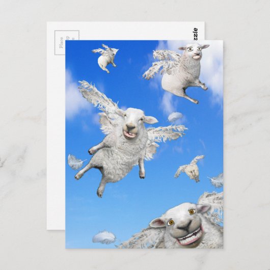 VLIEGTUIG 2 BRIEFKAART (Voorkant / Achterkant)