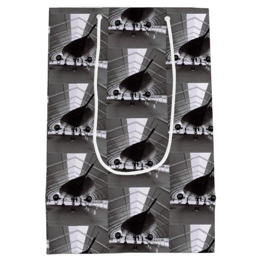 Vliegtuig 2 medium cadeauzakje (Achterkant)