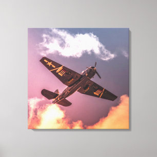 vliegtuig Beauful Sky Canvas Afdruk
