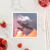 vliegtuig Beauful Sky Servet (Insitu)