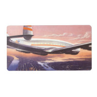 vliegtuig boven de Hudson, New York City