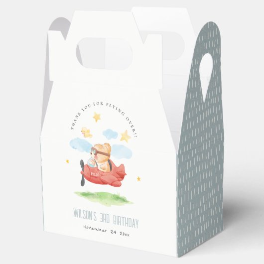Vliegtuig boven Teddy Bear Animal Planthday Bedankdoosjes (Geopend)