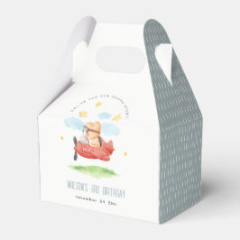 Vliegtuig boven Teddy Bear Animal Planthday Bedankdoosjes