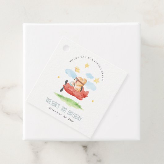 Vliegtuig boven Teddy Bear Animal Planthday Bedankjes Labels (In situ)