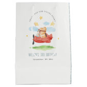 Vliegtuig boven Teddy Bear Animal Planthday Medium Cadeauzakje (Achterkant)
