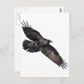 Vliegtuig Briefkaart (Voorkant / Achterkant)