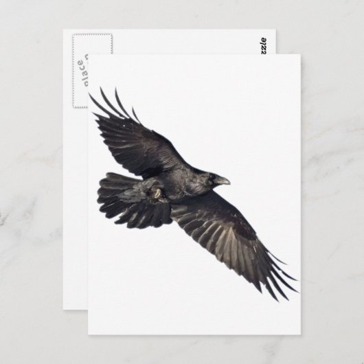 Vliegtuig Briefkaart (Voorkant / Achterkant)