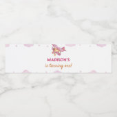  vliegtuig eerste geboorte waterflesetiket waterfles etiket (Enkel label)