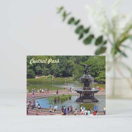 Vliegtuig en meer in Central Park, New York City Briefkaart (Staand voorkant)