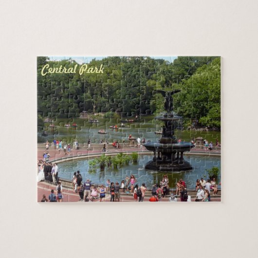 Vliegtuig en meer in Central Park, New York City Legpuzzel (Horizontaal)