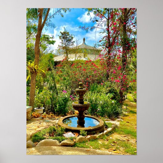 Vliegtuig en Tuin Mexico Poster (Voorkant)