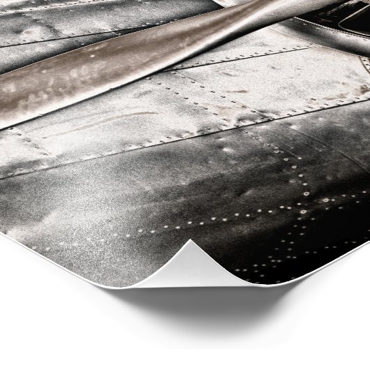  vliegtuig foto afdruk (Hoek)