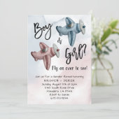 vliegtuig Gender Reveal Party Kaart (Staand voorkant)