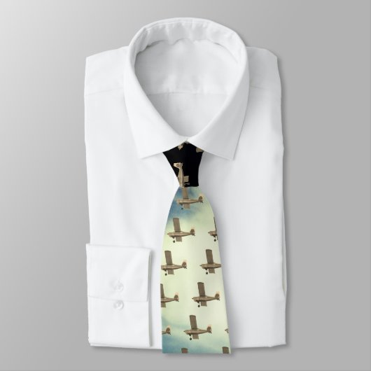 Vliegtuig in het Stropdas Sky (Gebonden)