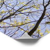 Vliegtuig in Sky, omgeven door bomen Poster (Hoek)