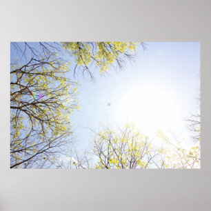 Vliegtuig in Sky, omgeven door bomen Poster