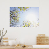 Vliegtuig in Sky, omgeven door bomen Poster (Keuken)