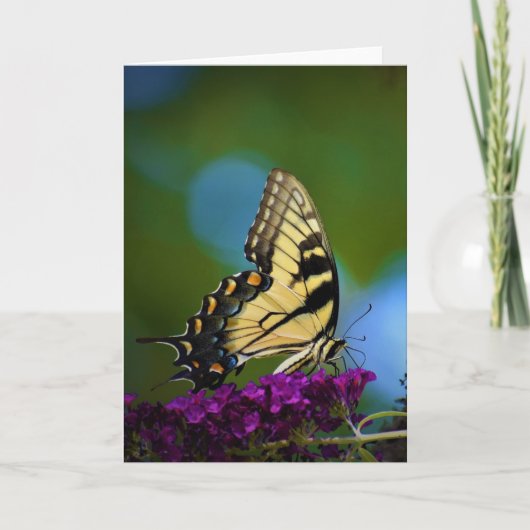 Vliegtuig, kaart (Voorkant)