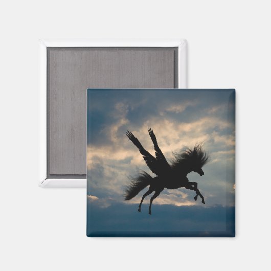 Vliegtuig Magnet (Voorkant / Achterkant)