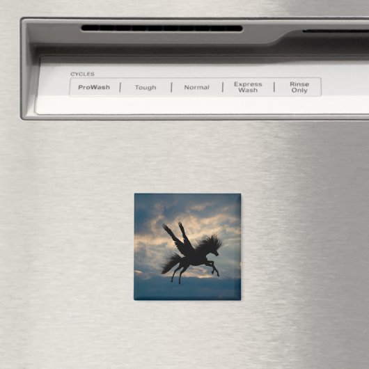 Vliegtuig Magnet (Insitu (Vaatwasser))