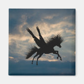 Vliegtuig Magnet (Voorkant)