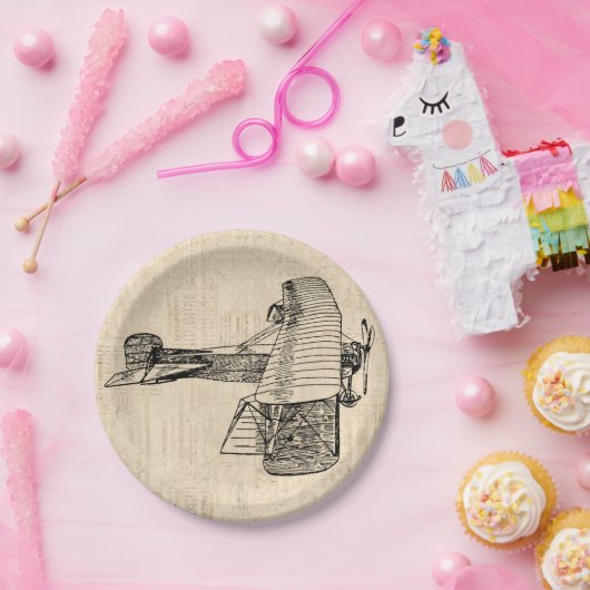 Vliegtuig met ouderdomsvlieger papieren bordje (Feest)