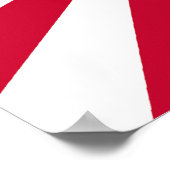 Vliegtuig Nulvocht Poster (Hoek)