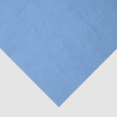 Vliegtuig op blauw, blauw tissuepapier (Detail)