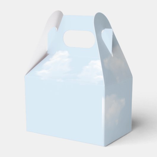 Vliegtuig Pilot Boy's Birthday Bedankdoosjes (Achterkant)